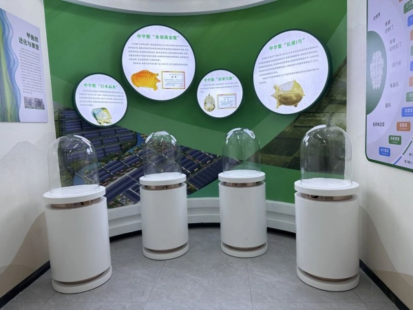 農(nóng)業(yè)產(chǎn)業(yè)園展廳設(shè)計案例