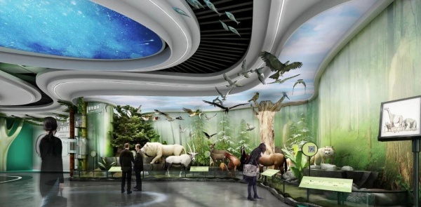 自然主題的展館設計