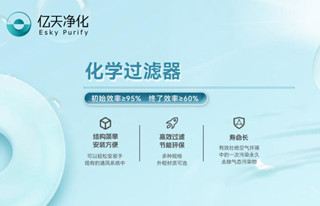 化學過濾器的吸附原理是什么？